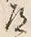 Character 道