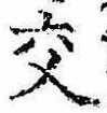已定位交