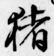 已定位猪
