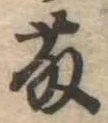 已定位藤