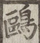 已定位鷗