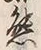 Chữ 三