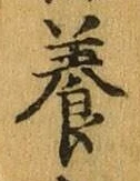 「養」字