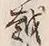 字山