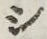 文字 シ
