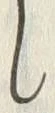 「帯」字