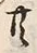 𡨸共