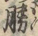 已定位勝