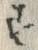 文字 ず