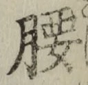 字腰