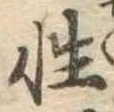 Đã định vị 性