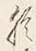「濃」字