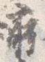 位置 確認된 蒔