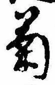已定位菊