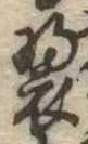 位置 確認된 未指定