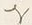 𡨸な