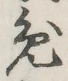已定位兎