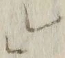 “婦”字