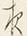 Chữ 終