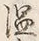 Character 泉