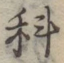 位置定マレル科