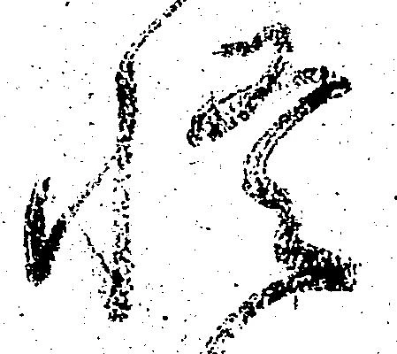 悟，已得其位