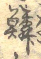 位置 確認된 鱗