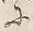 「飼」字