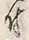 文字 徳