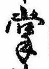 掌の位置