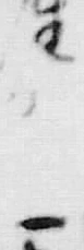字薩