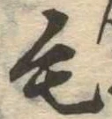 位置定マレル毛