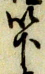 已定位茂
