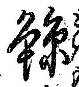 已定位鯨