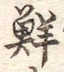 Đã định vị 鮮