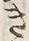 Character 趣