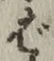 「ば」字