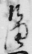 𡨸四