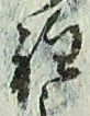 文字程