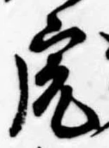 已定位虎