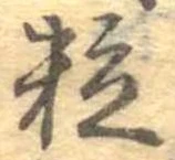 位置定マレル粒