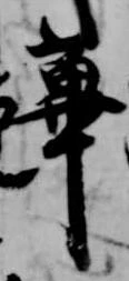 位置 確認된 蓽
