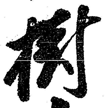 Đã định vị 樹