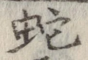 位置 確認된 蛇