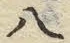 “八”字