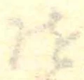 位置定マレル未定