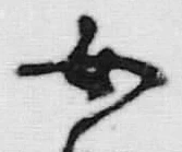 文字 女