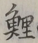 Character 鯉