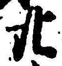 字廿
