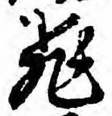 已定位飛